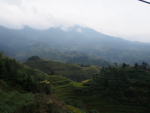山间云雾缭绕的翠绿梯田