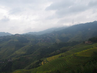 山间绿野 云雾缭绕美景