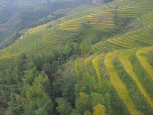 航拍壮美梯田风光