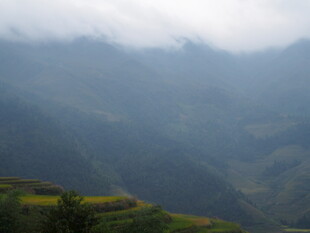 山间云雾缭绕的梯田美景