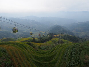 山间缆车穿梭于梯田美景