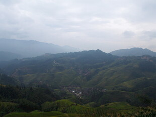 山间云雾缭绕的绿色景致