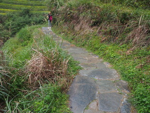 山间石板小径徒步景象
