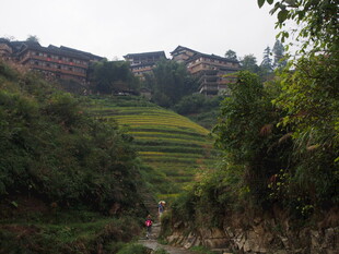 山间梯田村落美景