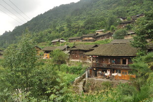 山间村落 古朴民居隐于绿