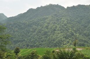 青山绿野间的自然美景