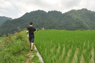 男子漫步于绿野山间小道