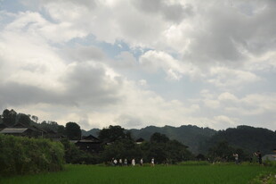 乡村田野间的云景风光