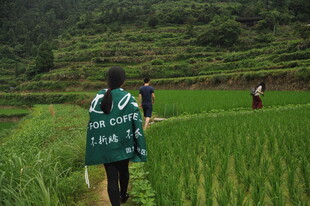稻田中志愿者开展环保行动