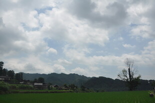 田园风光 绿野与云的景致
