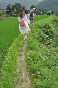 乡村小路上的快乐同行