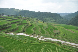 山间梯田美景