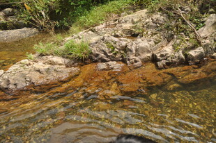 山间清澈溪流与岸边岩石