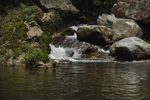 山间溪流潺潺 石畔水景
