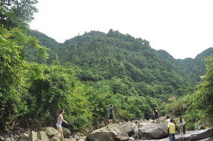 山间溪流旁的自然美景