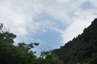 青山蓝天间的绿意景致