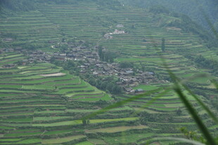 山间梯田村落美景