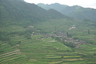 山间梯田村落美景