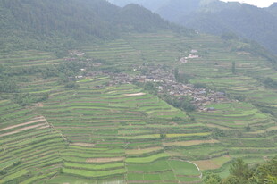 山间梯田村落美景