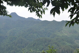 青山绿树间的秀丽山景
