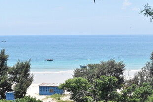 海边绿树环绕的美丽景致