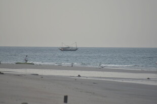 海边沙滩与远处航行船只