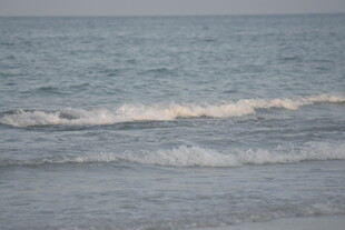 海边波浪涌动的美丽景象