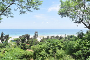 海边绿意盎然的自然景致