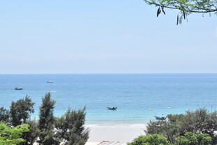 海边美景 绿树碧海相衬