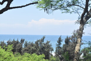 绿树掩映下的蔚蓝海景