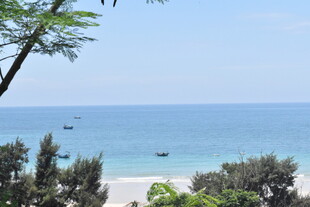 海边风景 绿树衬碧海