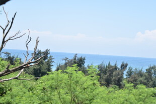 绿意盎然的山林与远处海景