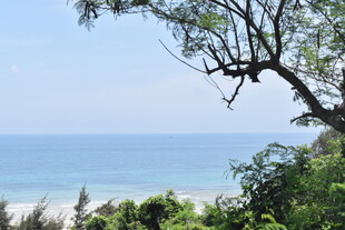 海边绿树与蔚蓝大海景致