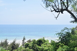 海边绿意盎然的自然景致