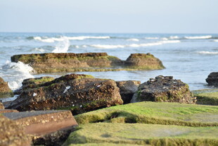 海边礁石与海浪景观