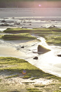 海边湿地风光美景
