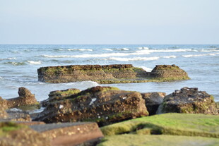 海边礁石与海浪景观