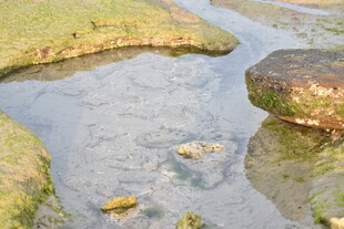 山间清澈小溪与石块