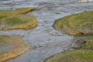 溪边草滩 潺潺流水景致