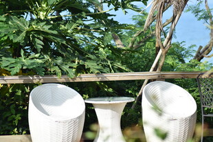 户外休闲桌椅的惬意角落