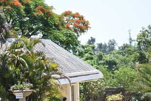 林间小屋 隐于葱郁自然中