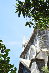 古建一角 枝叶相伴