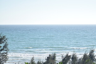 海边景致 绿树与碧海相映