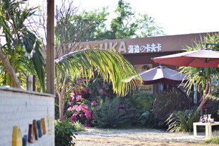 户外休闲场所景象