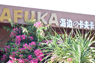 阿福卡海边餐厅外景