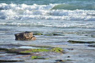 海边礁石与翻涌海浪