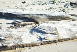 沙地中的岩石景观