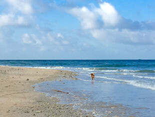 海边漫步的惬意时刻