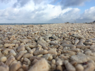 海边布满鹅卵石的沙滩