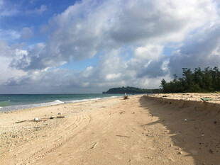 美丽沙滩与蔚蓝大海景观